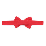 Baby Boys Suspender Belt with Bow Tie