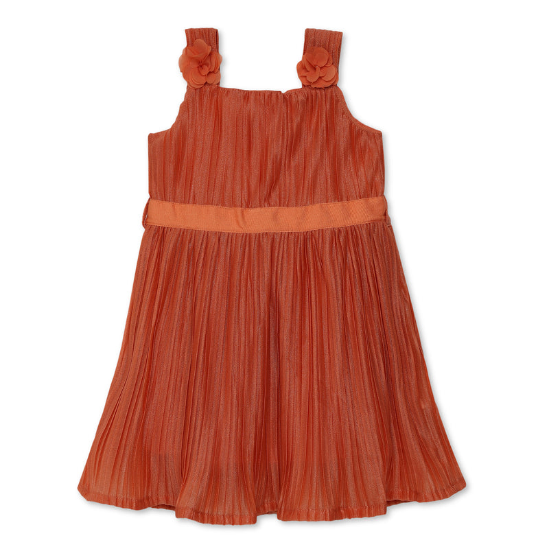 Girls Sleeveless Pleated Corsage Dress