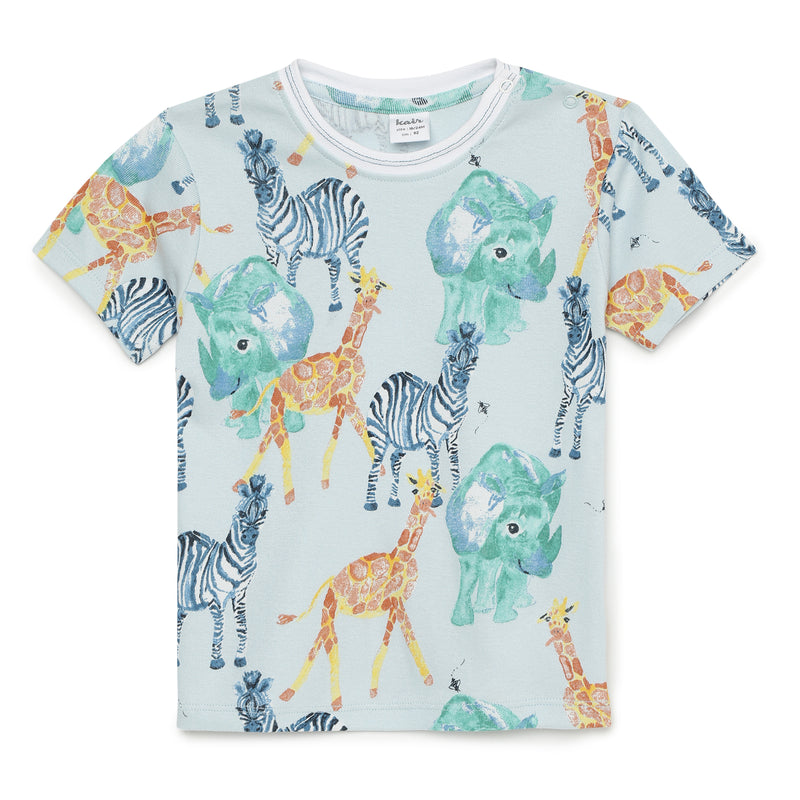Baby Boys Graphic Printed T-shirt And Shorts(2pcs set)
