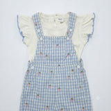 Baby Girls Playsuit With Inner T Shirt (2 Pcs Set)