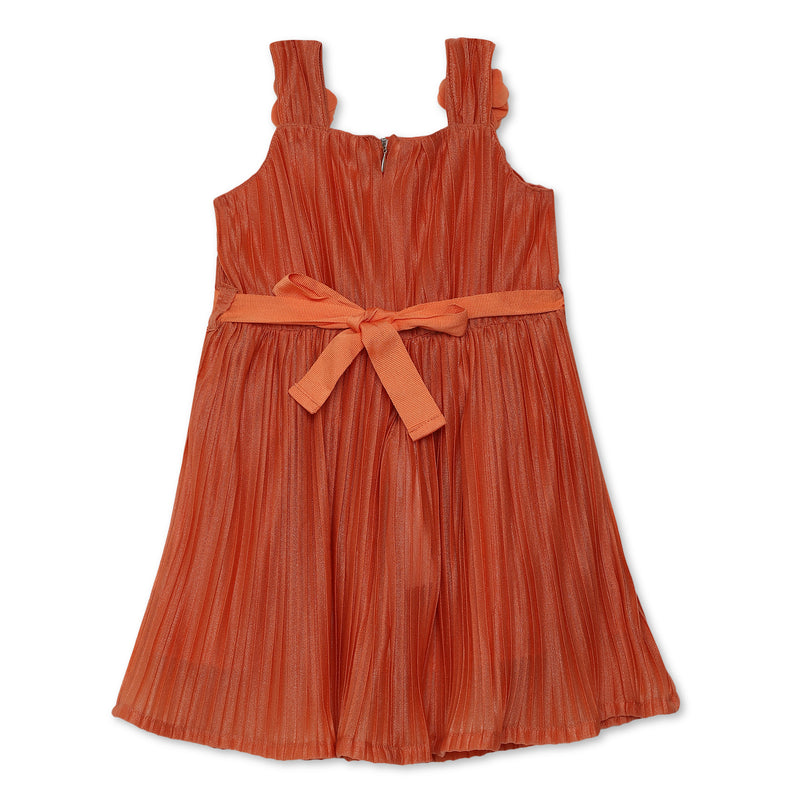 Girls Sleeveless Pleated Corsage Dress