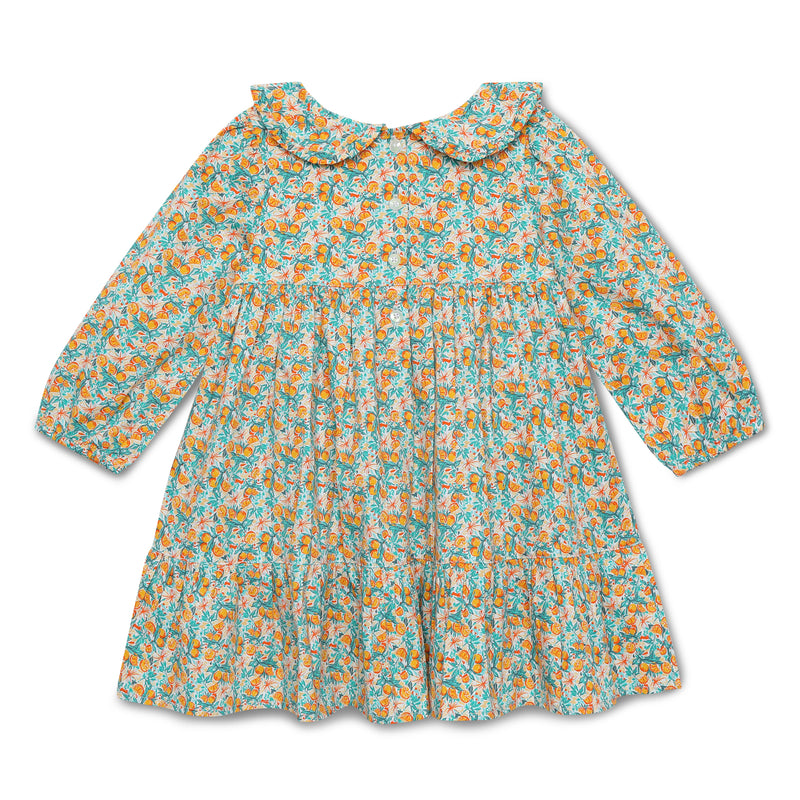 Baby Girls Peter Pan Collar with Full Sleeve Dress
