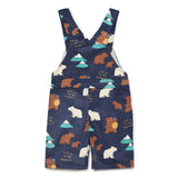 Baby Boys 2Pcs Set Playsuit with Inner T-Shirt