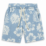 Baby Boys Tropical Printed Shirt With Shorts(2Pcs Co-Ord Set)